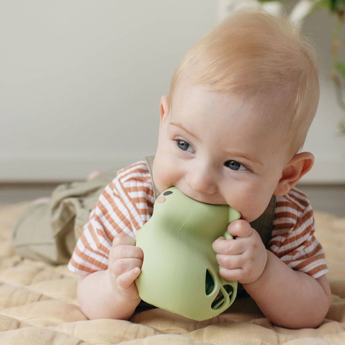 Tiger Tribe Silicone Rattle - Dino - Image 5