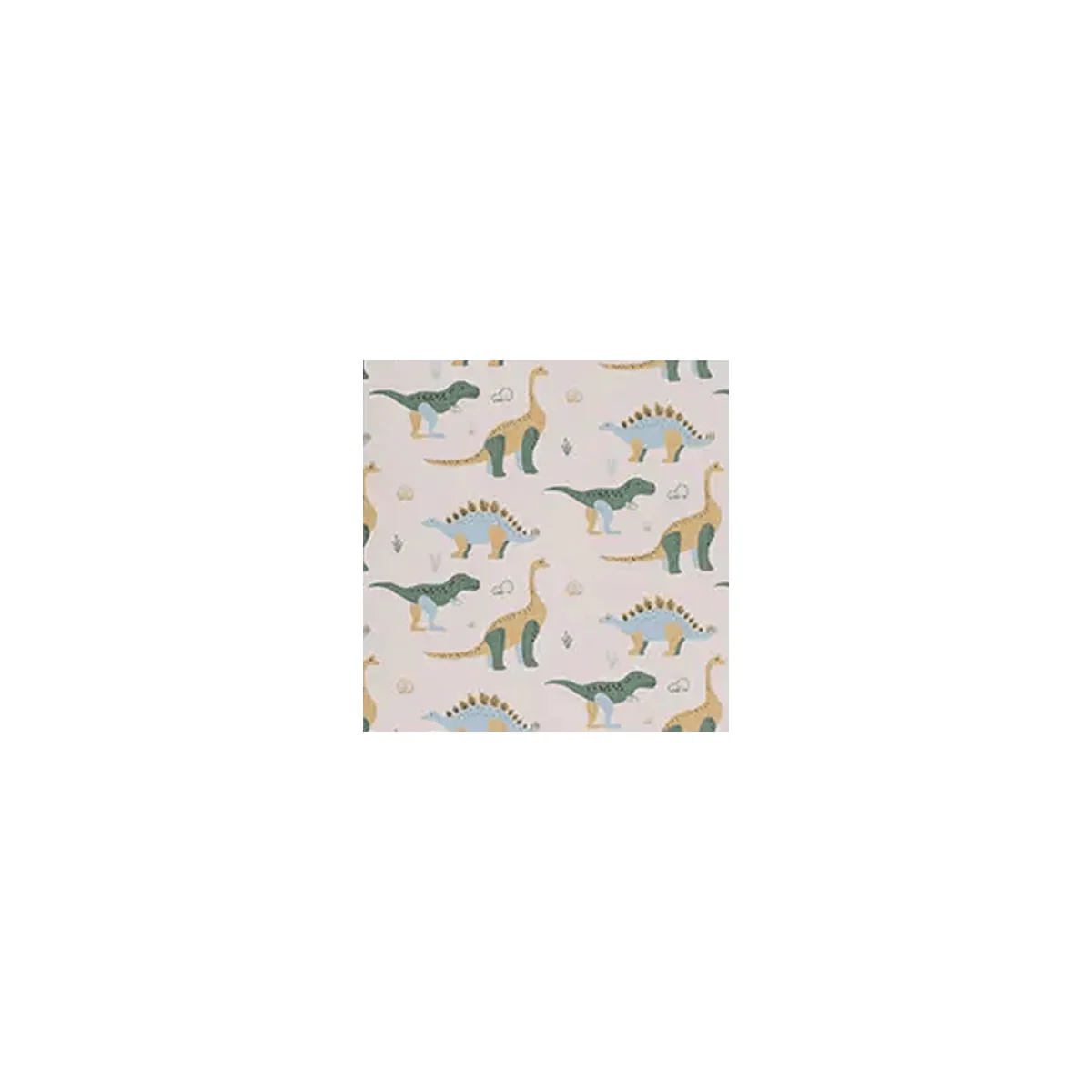 Two Little Ducklings Small Gift Card - Dinosaurs