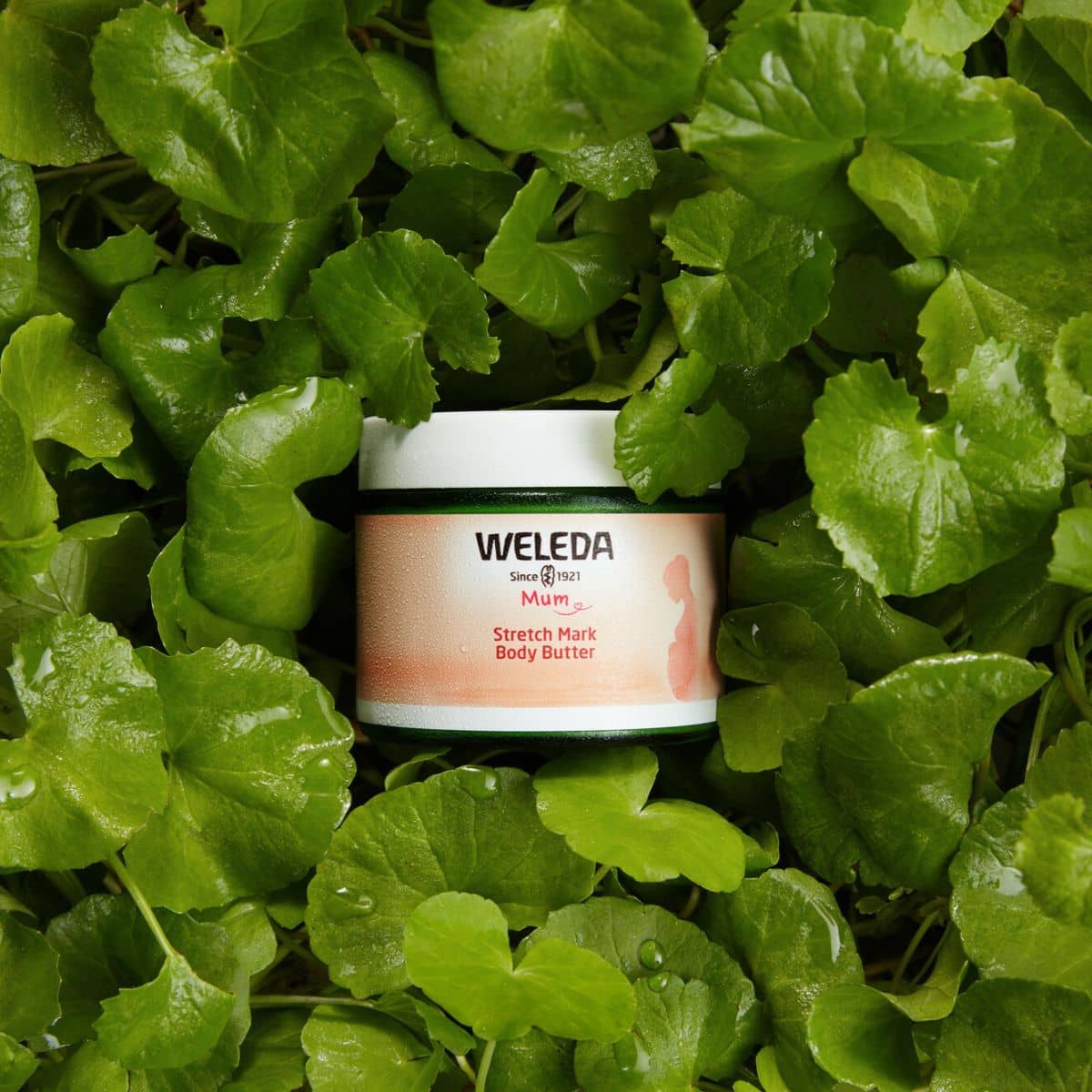 Weleda Stretch Mark Body Butter - Image 9