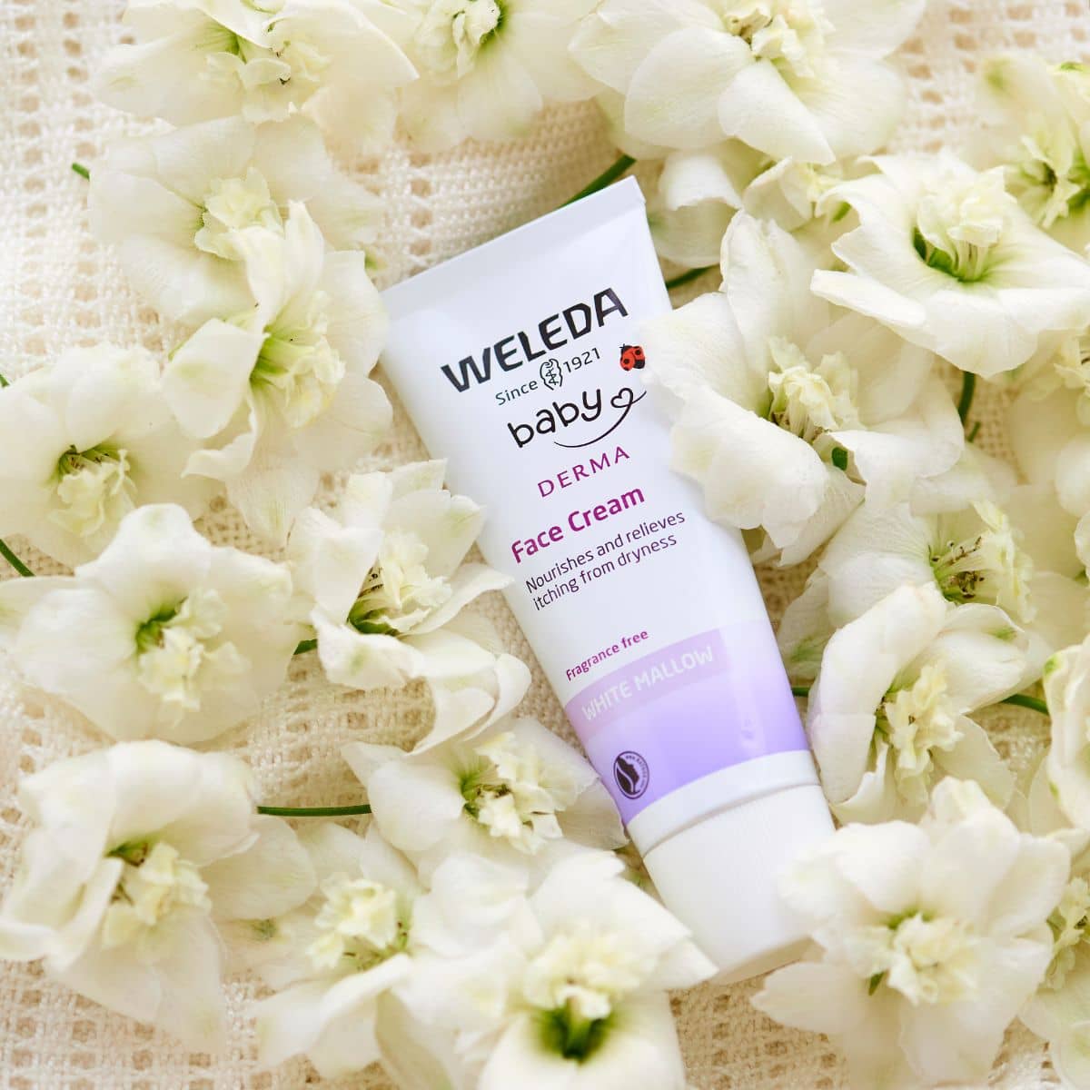 Weleda White Mallow Face Cream - Image 3