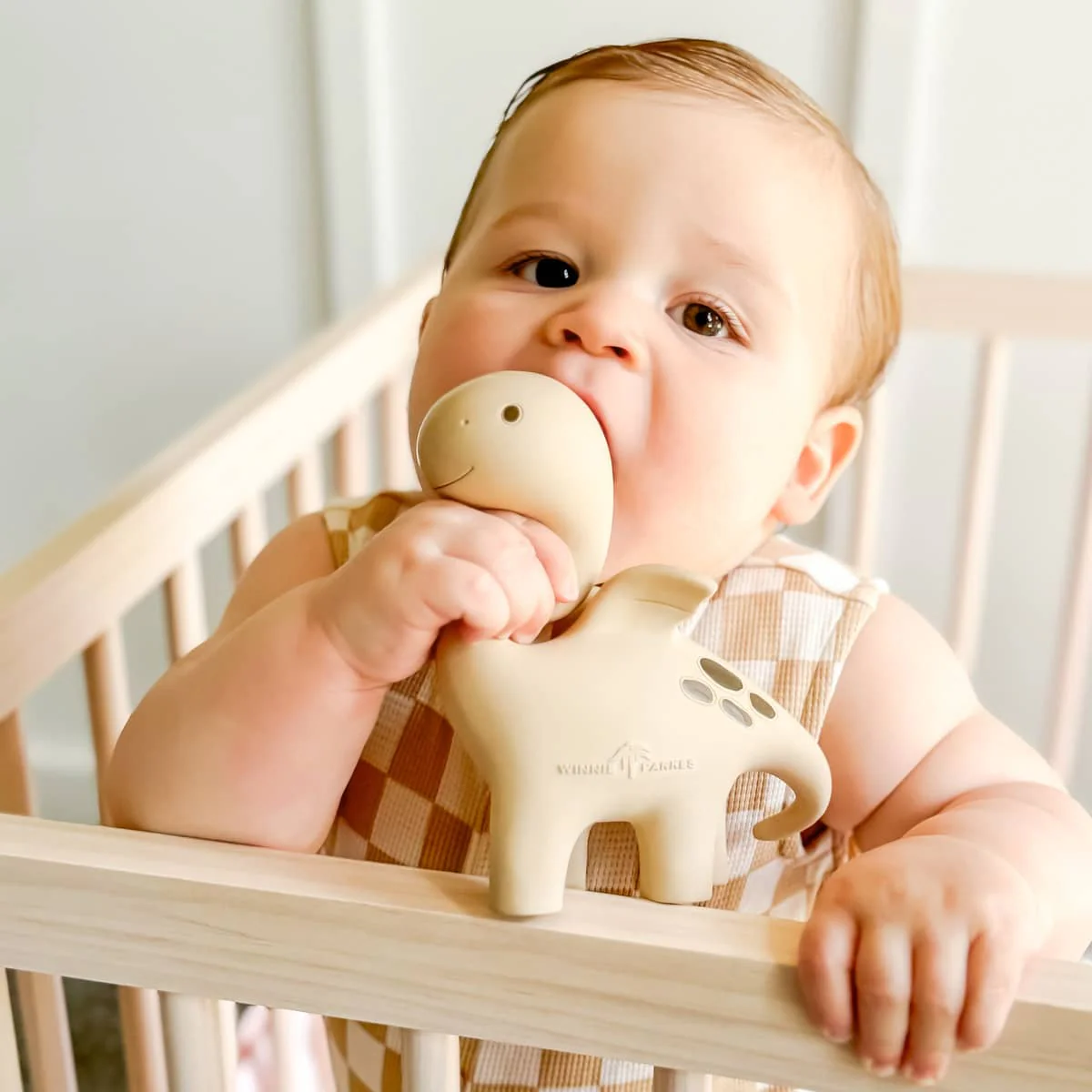 Winnie Parkes Natural Rubber Teether - Diplo the Dino-Dragon - Natural Brown - Image 7