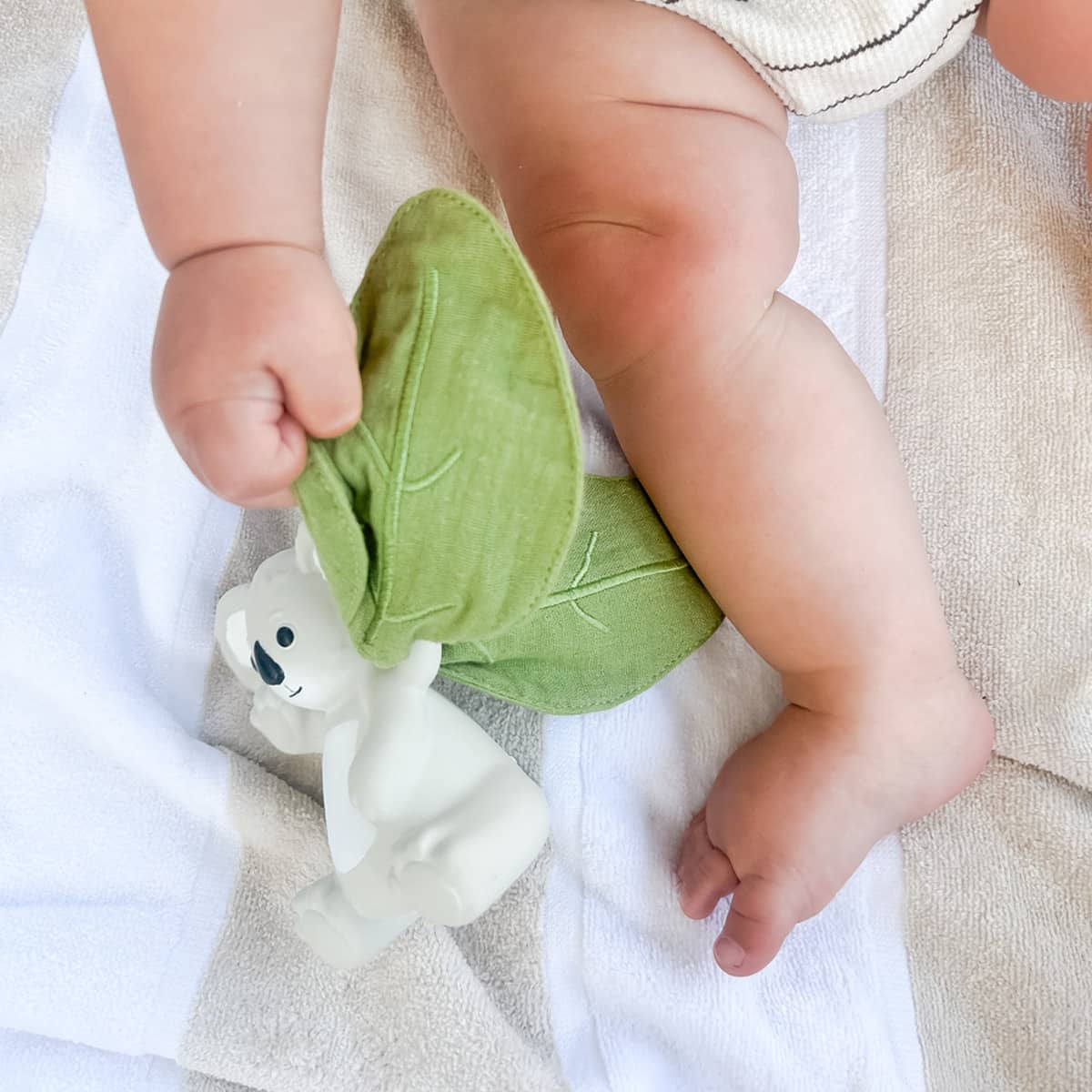 Winnie Parkes Rattle and Scrunch Teether - Banks the Koala - Image 4