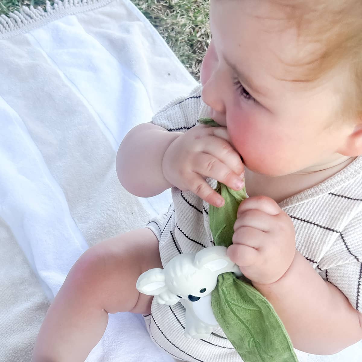 Winnie Parkes Rattle and Scrunch Teether - Banks the Koala - Image 5