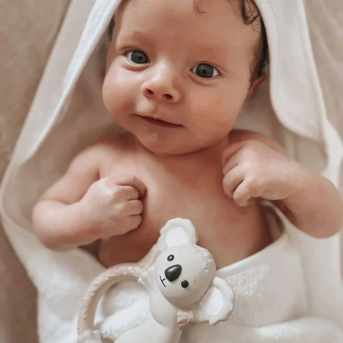 Winnie Parkes Teething Ring - Banks the Koala - Image 4
