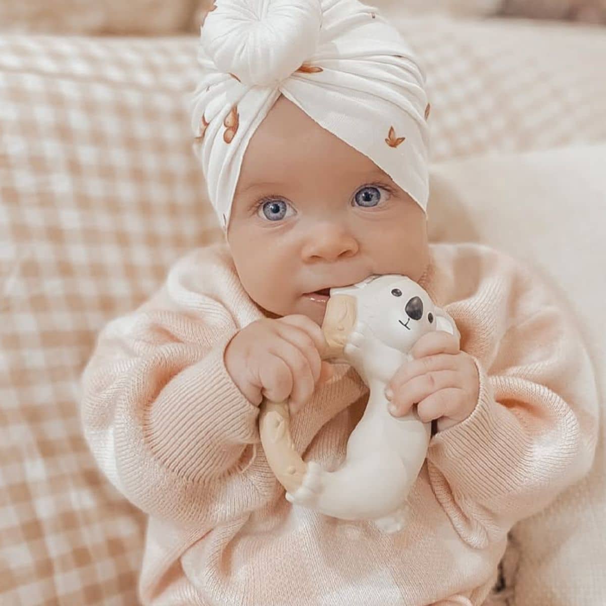 Winnie Parkes Teething Ring - Banks the Koala - Image 5