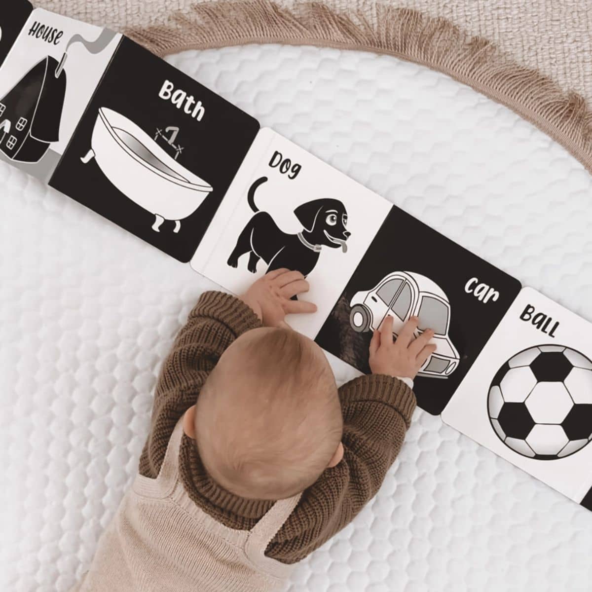 Young Wonderer Black and White Baby Book - Welcome to the World - Image 2